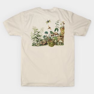 Goblincore Aesthetic Landscape with Frog and Mushrooms T-Shirt